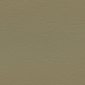 Papyrus