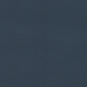 Diplomat Blue
