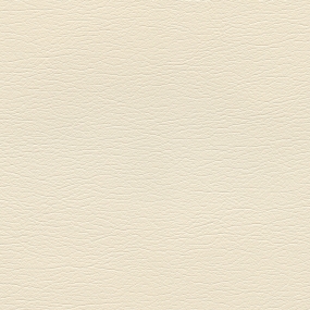 Light Oyster