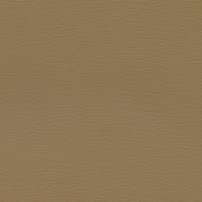 Pecan