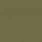 Olive Leaf