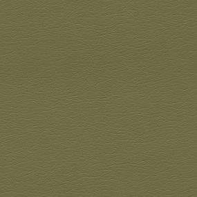 Olive Leaf