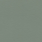 Eucalyptus