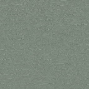 Eucalyptus