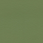 Sonora