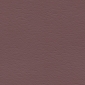 Boysenberry