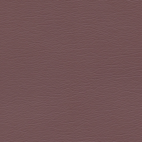 Boysenberry