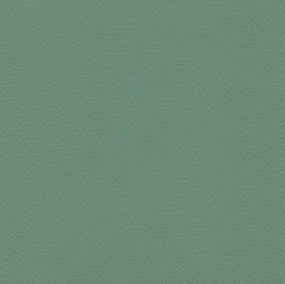 Celadon