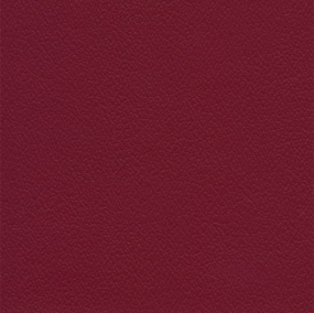 Raspberry