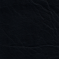 Dark Blue Oxen