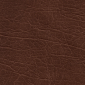 Brown Oxen