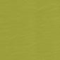 Wallaby Lime