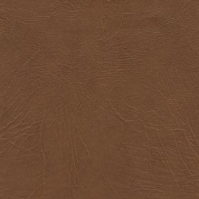 Oxen Brown