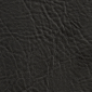 Charcoal Heidi