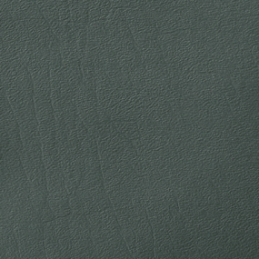 Gull Grey