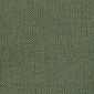 Spruce