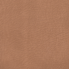 Desert Tan