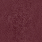 Zinfandel