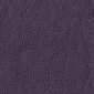 Eggplant