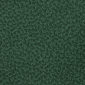 Spruce