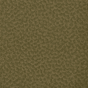 Moss