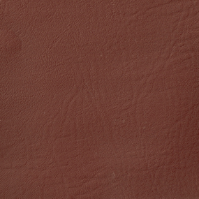 Cinnamon