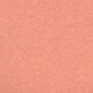 Peach Rose