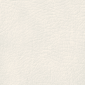 Brilliant White