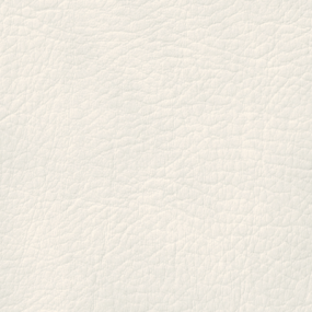 Brilliant White