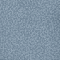 Blue Lagoon
