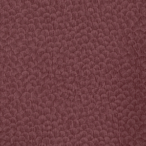 Cranberry