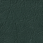 Wayne/Carp. Dark Green