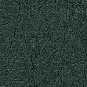 Wayne/Carp. Dark Green