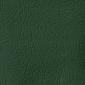 Amtran/Ward Jungle Green