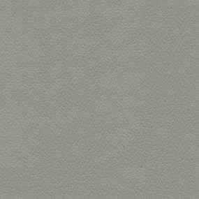 Flint Grey