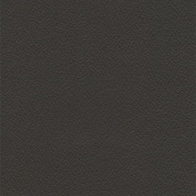 Gun Metal