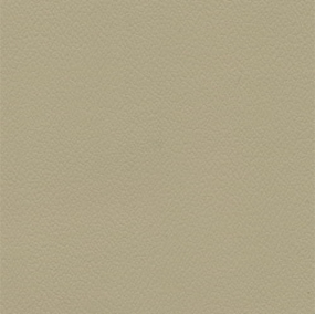 Parchment