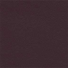 Purple Grey