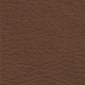 Cinnamon