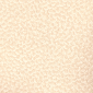 White Wash