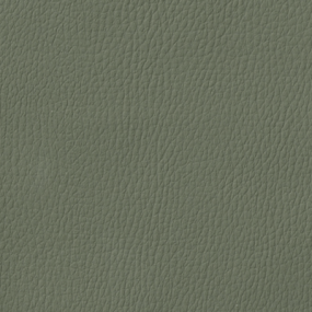 Soap Stone