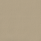 Malt