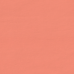 Melon