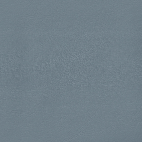 Blue Frog