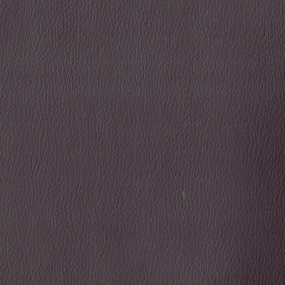 Purple Grey