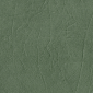 Medium Green