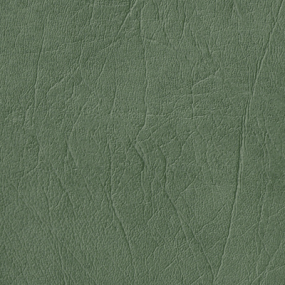 Medium Green