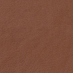 Saddle