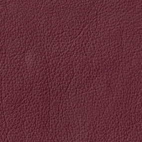 Zinfandel