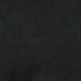 Coal